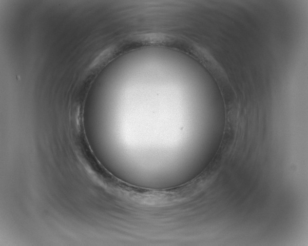 X0000081560024200701221038