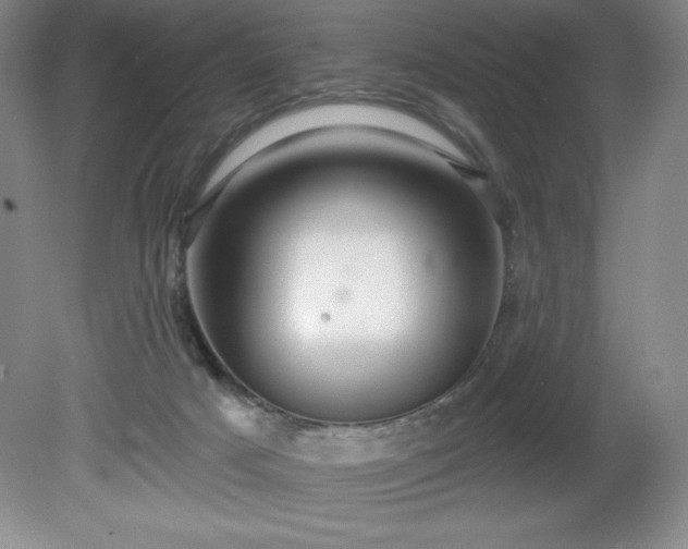 X0000081560025200701221038