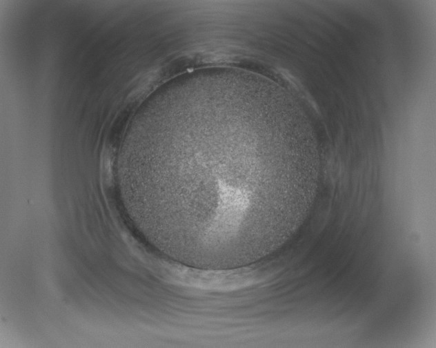 X0000081560026200701221038