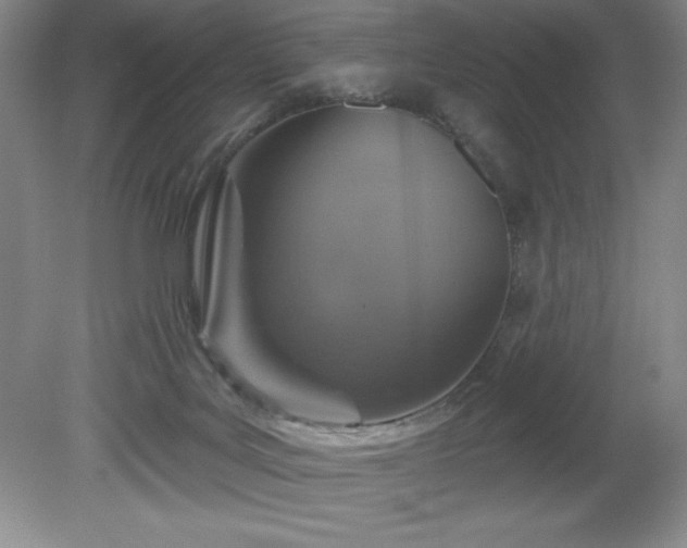 X0000081560027200701221038