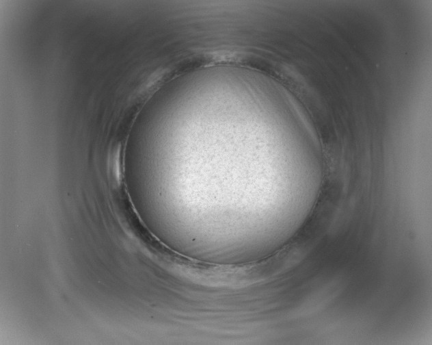 X0000081560028200701221038