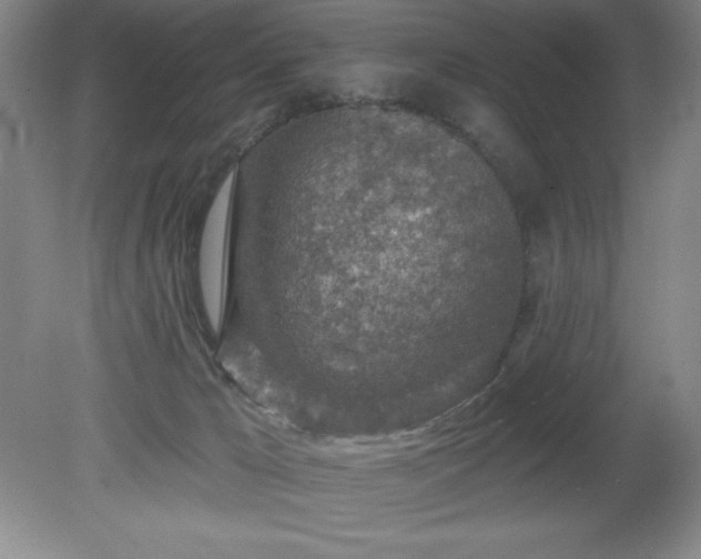 X0000081560029200701221038