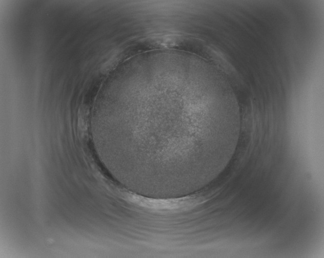 X0000081560030200701221038