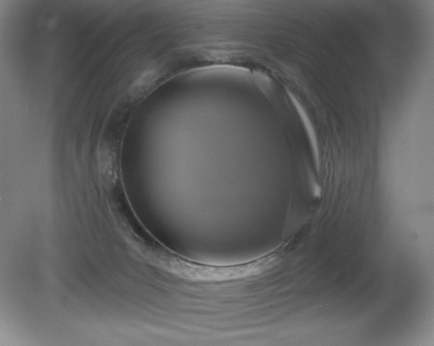 X0000081560031200701221038