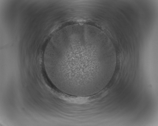 X0000081560032200701221038