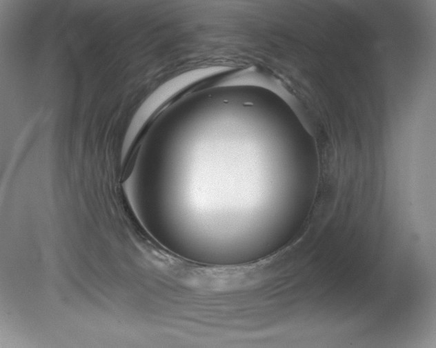 X0000081560033200701221038