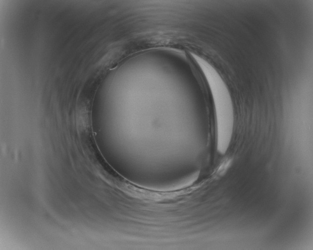 X0000081560035200701221038