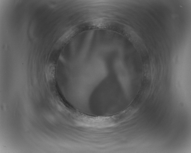 X0000081560036200701221038