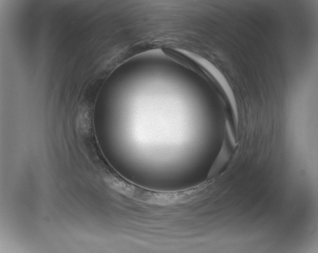 X0000081560037200701221038