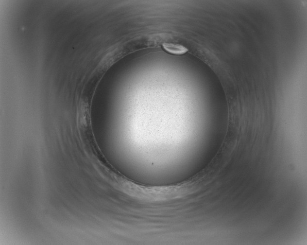 X0000081560038200701221038