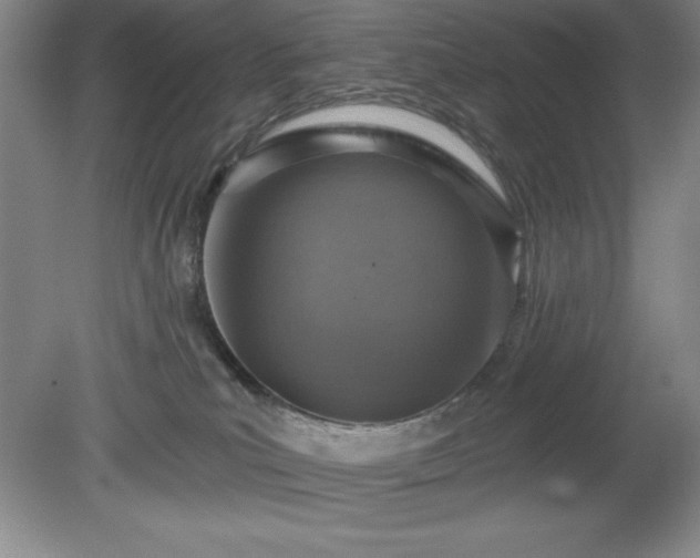 X0000081560039200701221038