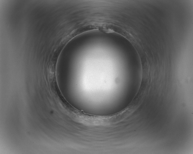 X0000081560040200701221038