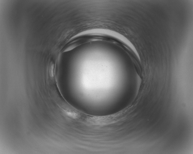 X0000081560041200701221038