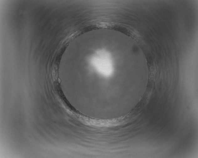 X0000081560043200701221038