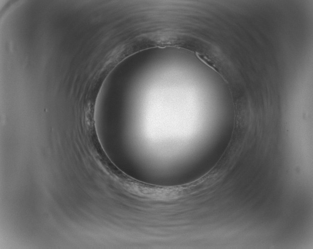 X0000081560044200701221038