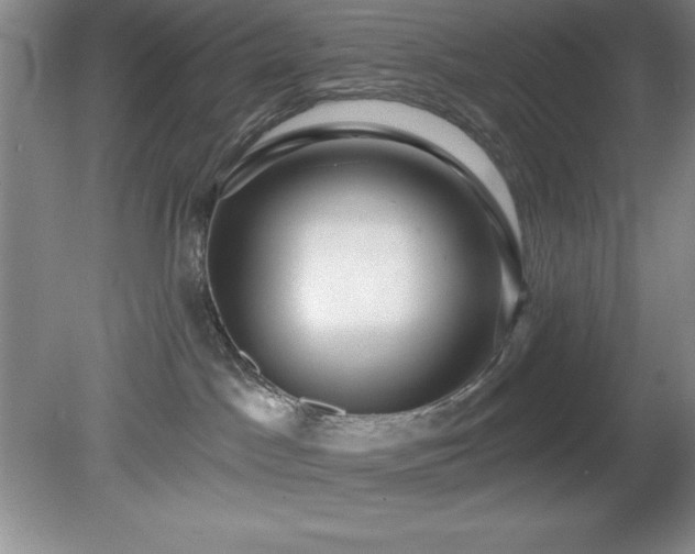 X0000081560045200701221038