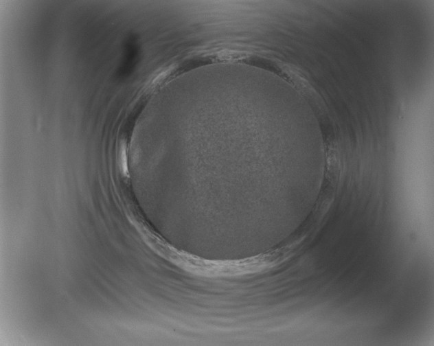 X0000081560046200701221038