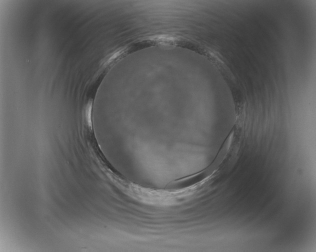 X0000081560047200701221038