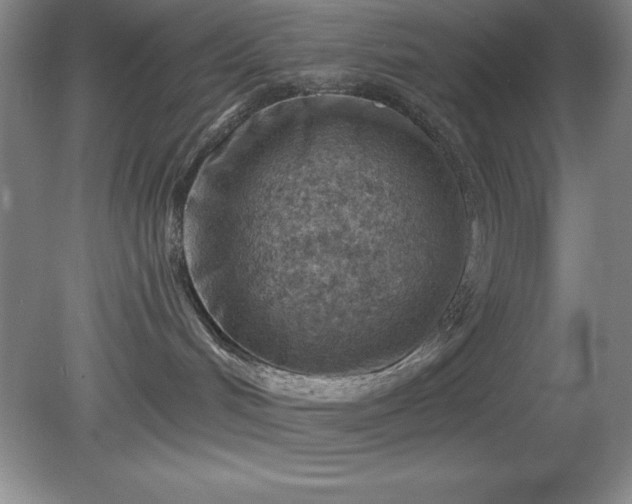 X0000081560048200701221038