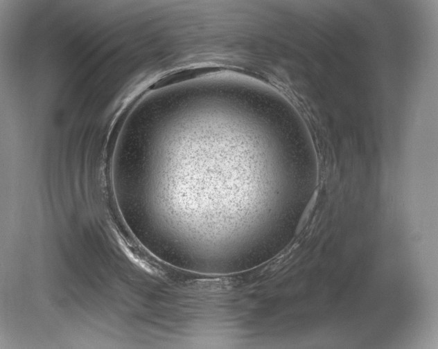 X0000081560050200701221037