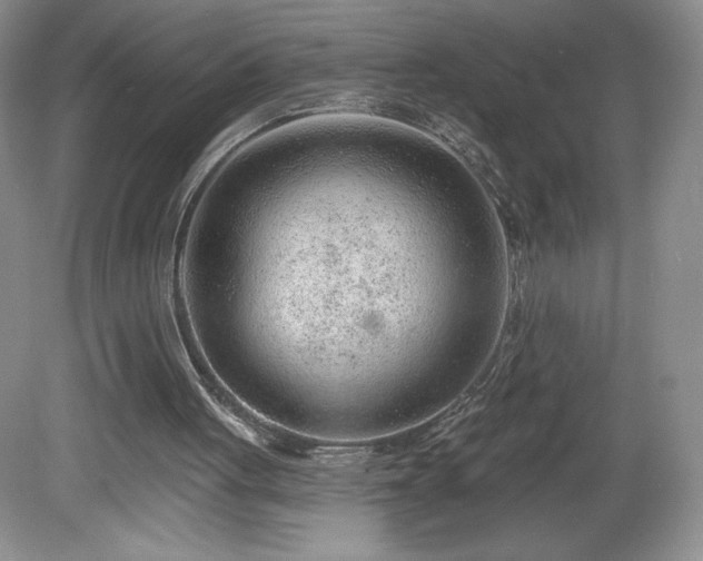 X0000081560051200701221037