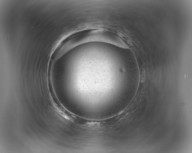 X0000081560052200701221037