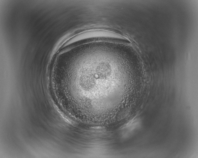 X0000081560053200701221037