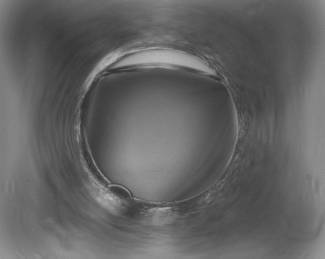 X0000081560054200701221037