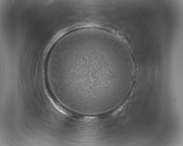 X0000081560055200701221037