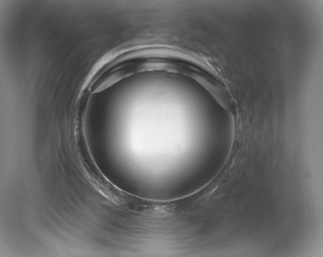 X0000081560056200701221037