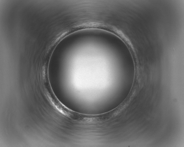 X0000081560057200701221037