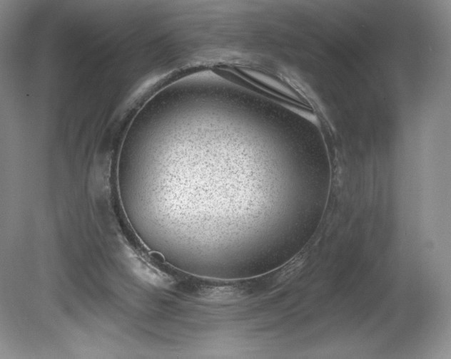 X0000081560058200701221037