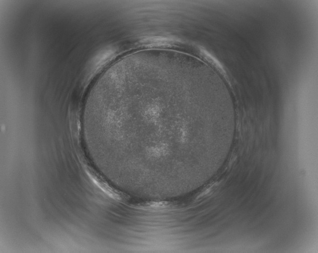 X0000081560059200701221037