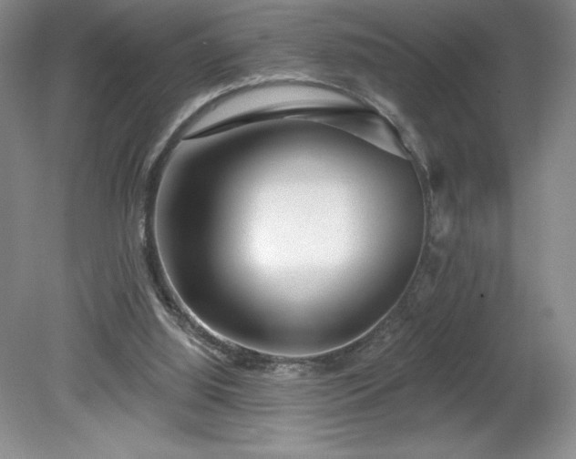 X0000081560060200701221037