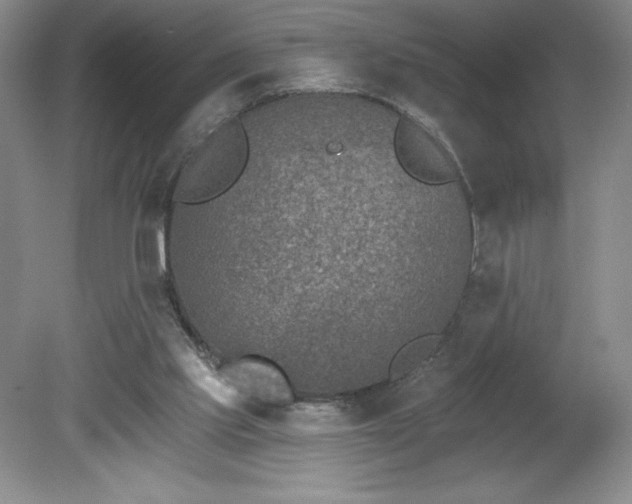 X0000081560061200701221037