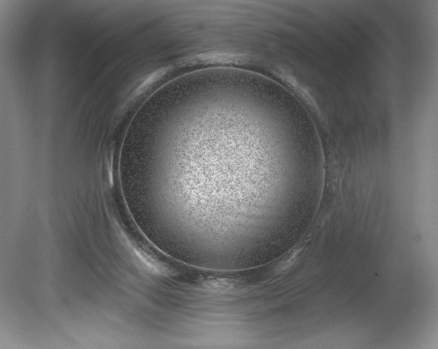 X0000081560062200701221037