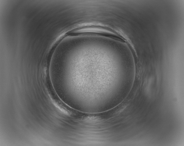 X0000081560063200701221037