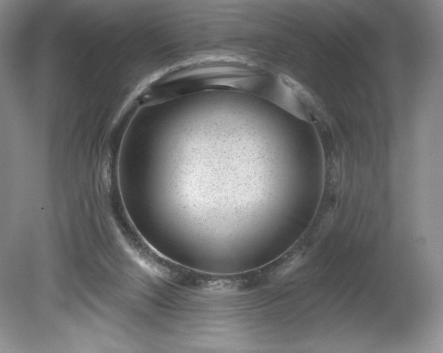 X0000081560064200701221037