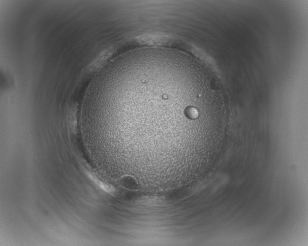 X0000081560065200701221037