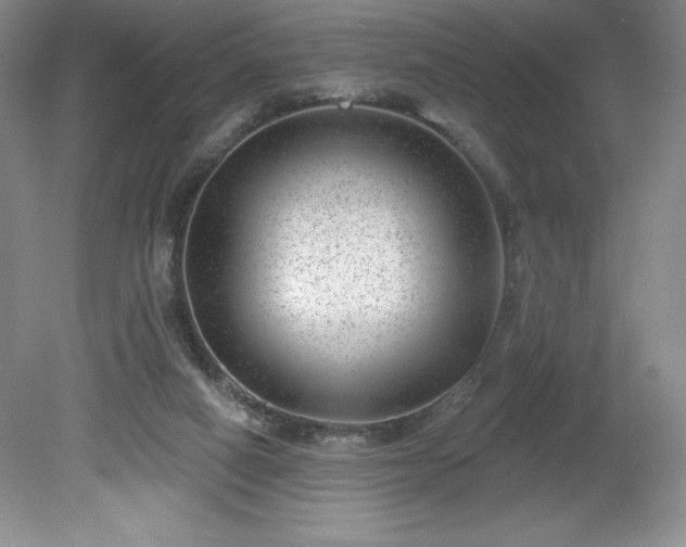 X0000081560066200701221038