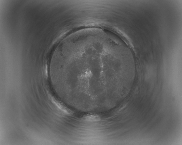 X0000081560067200701221038