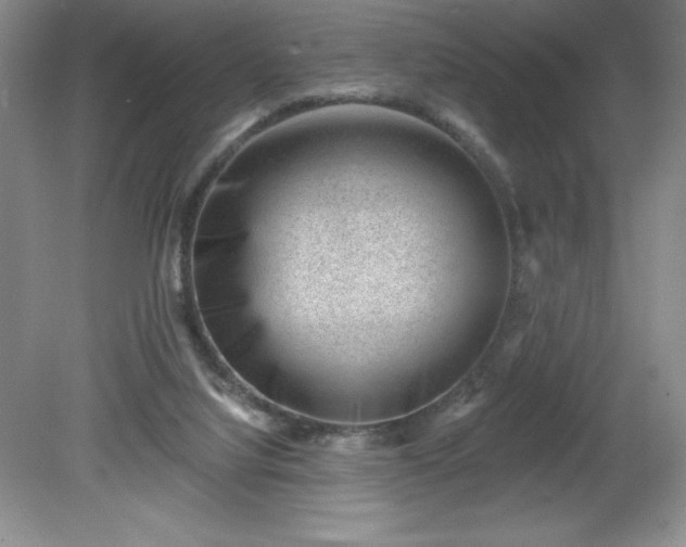 X0000081560068200701221038