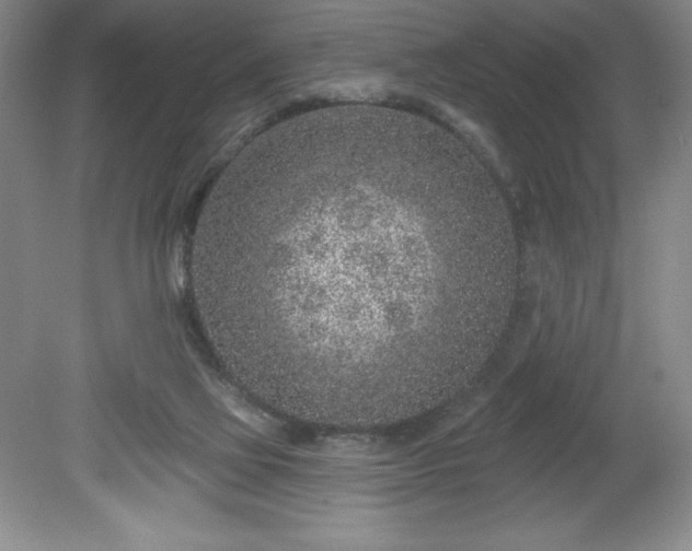 X0000081560069200701221038