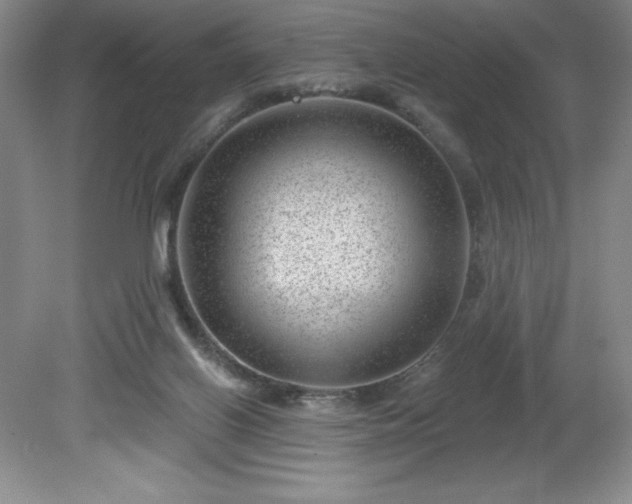 X0000081560070200701221038