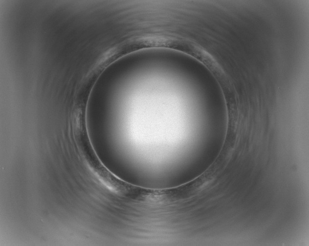 X0000081560071200701221038