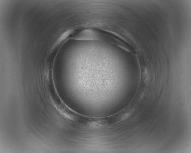 X0000081560072200701221038