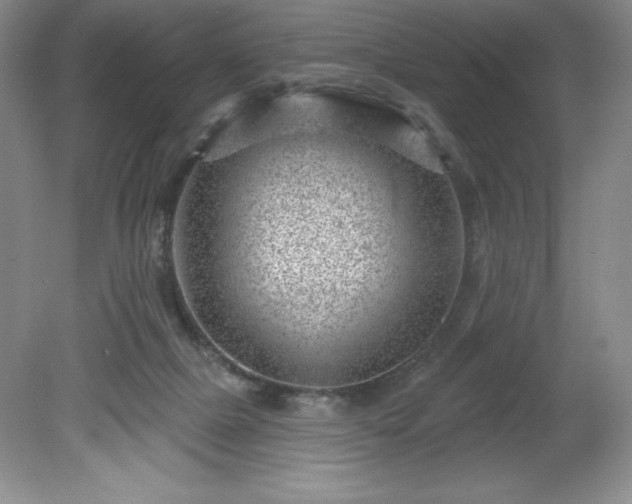 X0000081560073200701221038