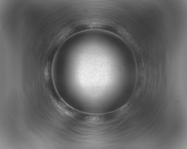 X0000081560074200701221038