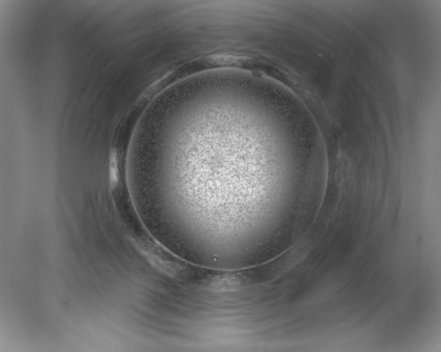 X0000081560075200701221038