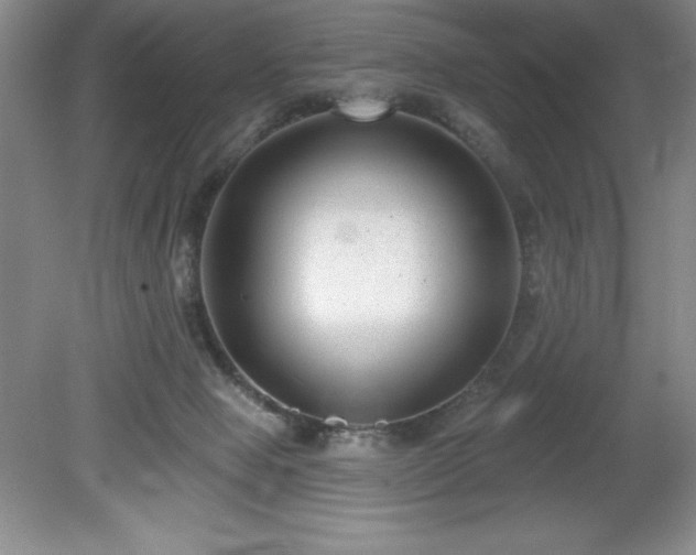 X0000081560077200701221038